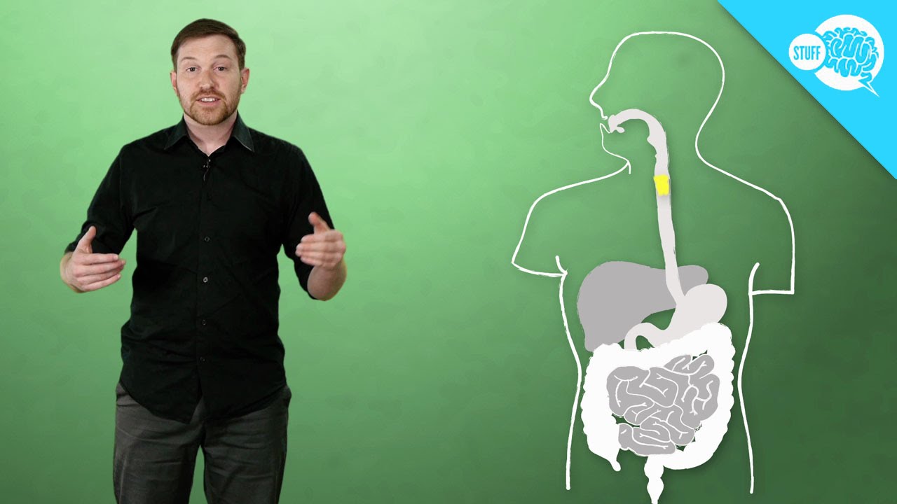 Why Are You Farting? - YouTube