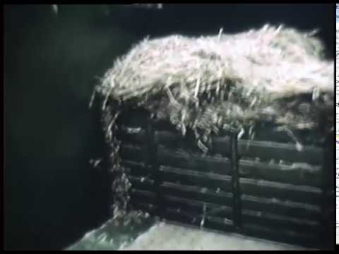 Das ganze Jahr über...Ernten und Laden (1955)