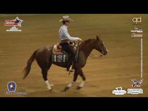 6 tappa TRHA 2024 - VESPESIANI MATTEO & BQH CHEX STAR WHIZ score 66,5