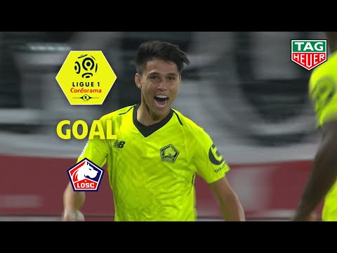 Goal Luiz ARAUJO (43') / Dijon FCO - LOSC (1-2) (DFCO-LOSC) / 2018-19