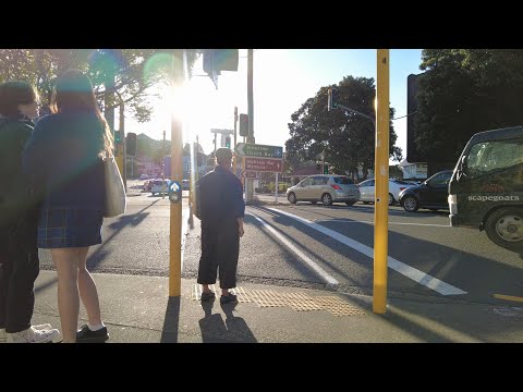 (4k) Walk | National War Memorial Park. Basin Reserve | Wellington, New Zealand | May 2022.