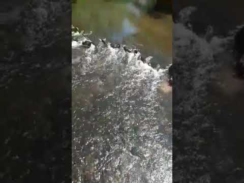 arroyo Maldonado ( San Carlos)