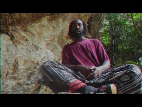 Akwerius - Roots N Branches