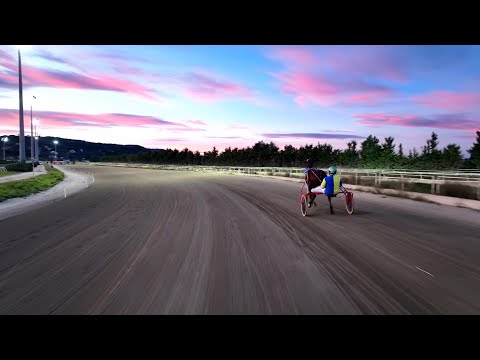 Trotto corse del 15 Gennaio 2023