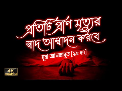 সূরা আনকাবুত (আয়াত ৫৬-৬৪) ┇ Sura Ankabut Recited by Abdul Rahman Mossad