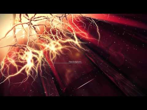 GSK HPL Deep Science: Muscle soreness