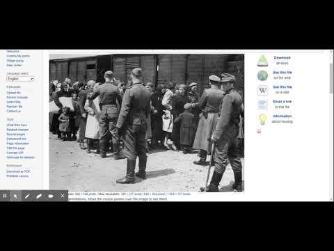 File Stefan Baretzki at the Judenrampe Auschwitz Album jpg   Wikimedia Commons