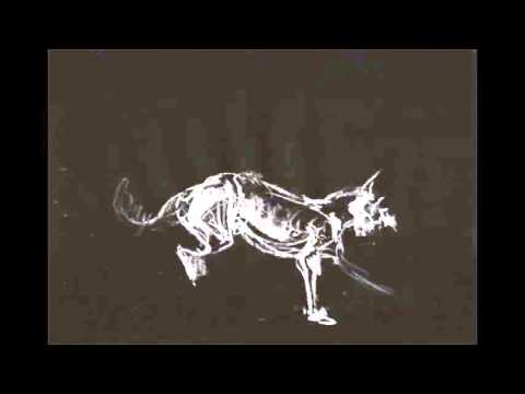 White Cliffs - Britton/O'Mahoney