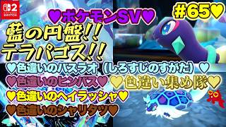 【♡Part65♡4K♡Nintendo Switch 2 俺のファンのコからのリクエスト配信】ポケットモンスター スカーレット ゼロの秘宝 藍の円盤をまったり巣ごもり生配信♡愛してる。