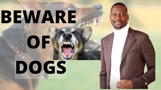 Download lagu Beware of Dogs | Rev E Makandiwa | 02/03/2008 mp3