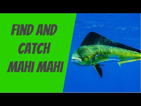 How to Find and Catch Mahi Mahi Offshore | EP 6