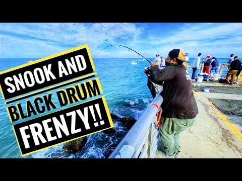 YouTube Black Drum Pier Tips