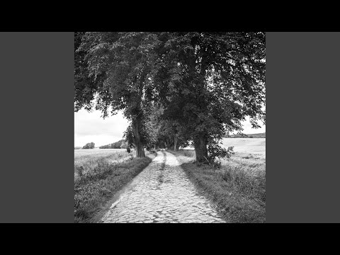 Colours (Stephan Zovsky Remix)