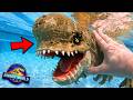 I Found A Giant Distortus Rex In My Pool Jurassic World Dinosaurs