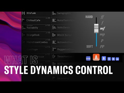 What is Style Dynamics Control