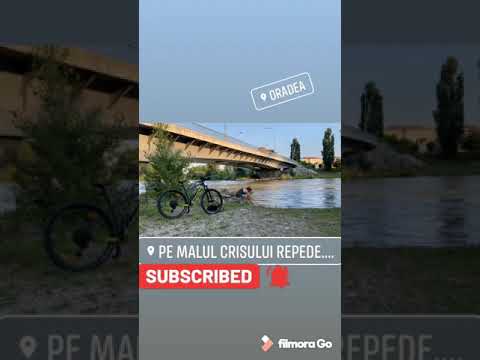 Fapte-n trafic din Oradea