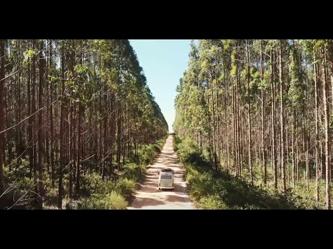 Meu Bem - Manu Testa