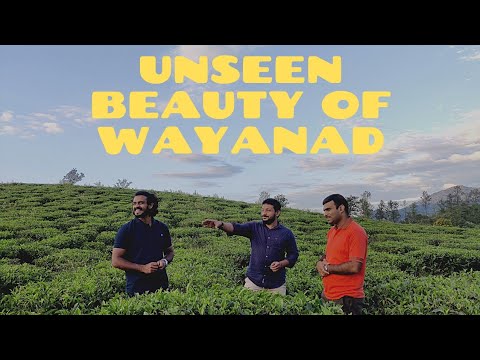 Unseen beauty of Perumthatta | Kalpetta | Wayanad