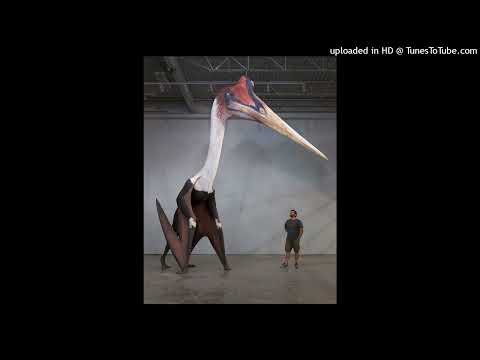 Uszaty - pterodaktyl