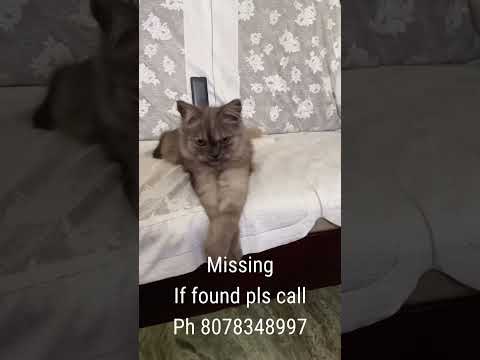 Pls if found call in Kannur