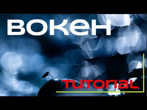 Crazy Bokeh Effekt - Naturfotografie Tutorial am Bach - Fotografie lernen mit Kameraeinstellung