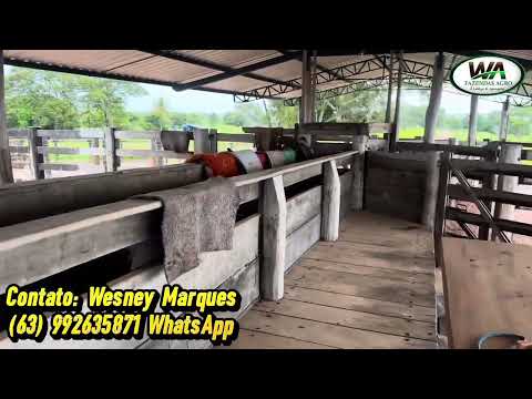 Fazenda a venda no Tocantins região de Colinas  TO