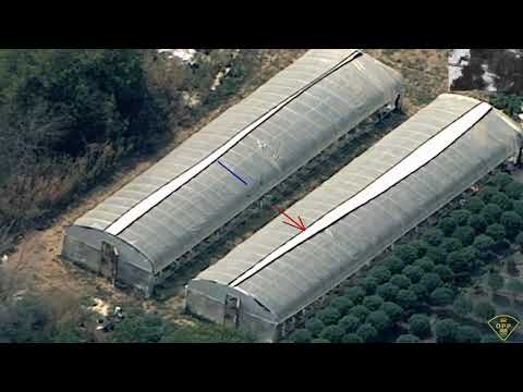 October 2, 2025 Tyendinega Illicit Cannabis Production