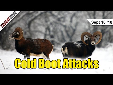 Cold Boot Attacks are Back! - ThreatWire