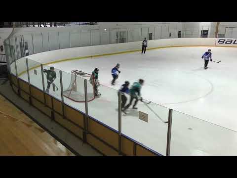 U14 H87 KASI -  White Sharks HC  20240203