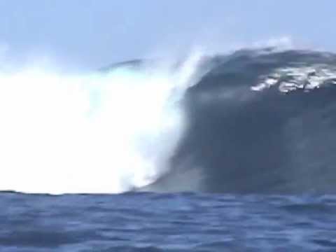 Bird Surf Tour Tavi.mov