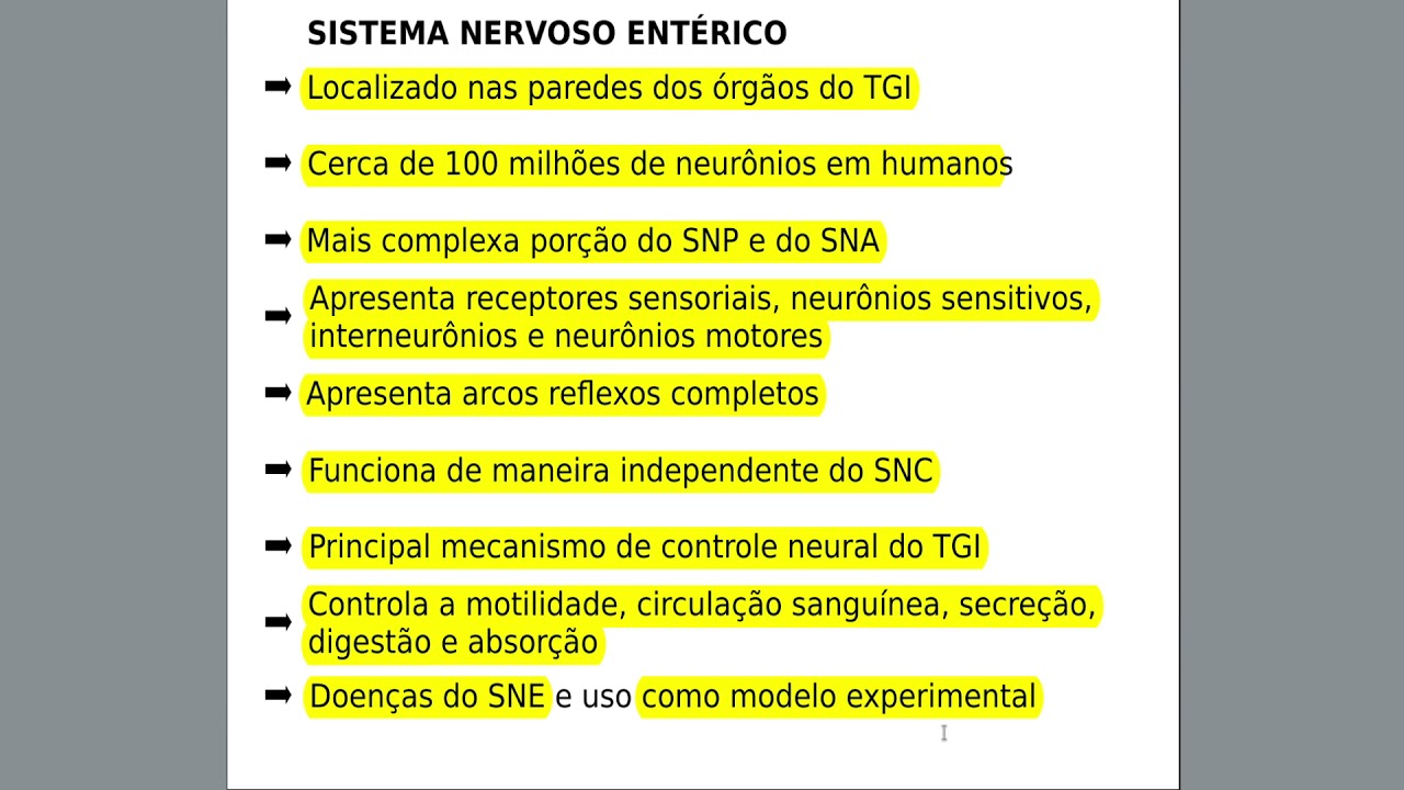 Neuroanatomia - Sistema Nervoso Entérico