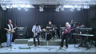 Hoochie Coochie Man - Stinky Kitty Blues Band