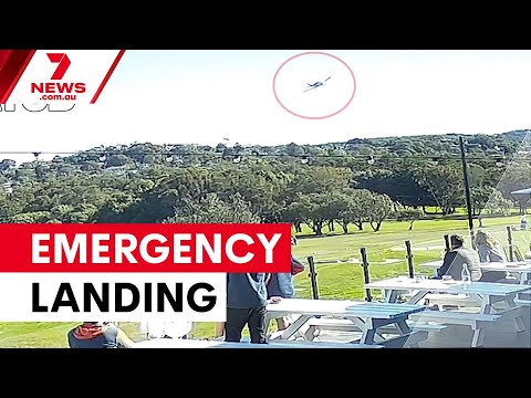 Pilot praised for emergency golf course landing | 7NEWS
