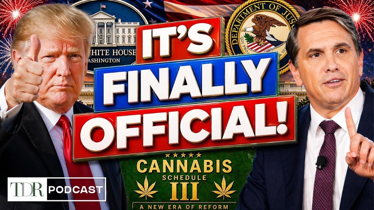 Cannabis Rescheduling Is Now Official | TDR Cannabis in 5
