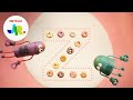 Letter Z StoryBots ABC Alphabet For Kids Netflix Jr