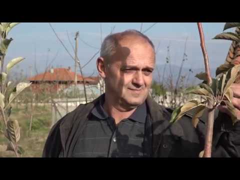 Naša priča ep. 224 05.12.2019. Povrće, Zablaće, porodica Raković