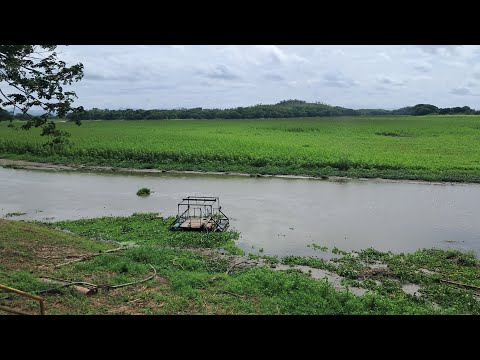 Problemas de sedimentación en la represa de El Pao 