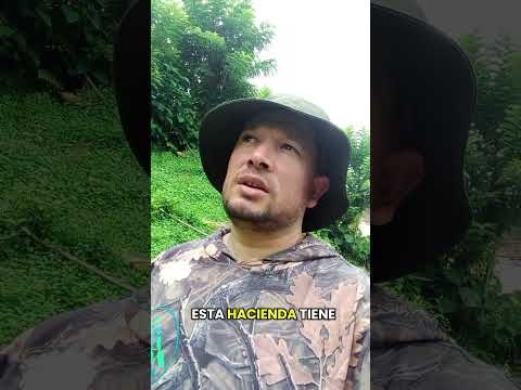 Hacienda San Juan de Rodas municipio de Ituango parte 1 #patrimonionacional #Ituangoantioquia