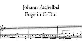 Pachelbel - Fuge in C-Dur / C Major - Stellwagen organ, Stralsund, Hauptwerk