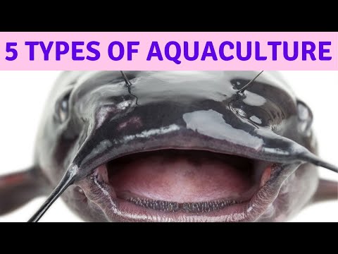 , title : '5 Types of Aquaculture, What is Aquaculture? What Aquaculture Means? What Aquaculture Is!'