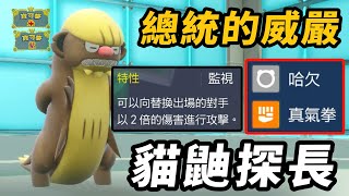 [閒聊] 實際接觸寶可夢pvp的玩家只佔少數是不是