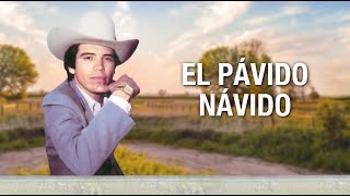 El Pávido Návido - Chalino Sanchez (Letra Oficial)