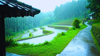 Download the video "🌧️ Tropical Rain and Piano – Perfect for Sleep & Stress Relief"