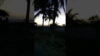 preview picture of video 'Puerto El Cuyo Yucatan.   Arena Sol Y Playaaa.'