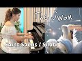The Swan (Le Cygne) by Saint-Saëns / Siloti on Piano | 생상스 백조 (실로티 편곡)