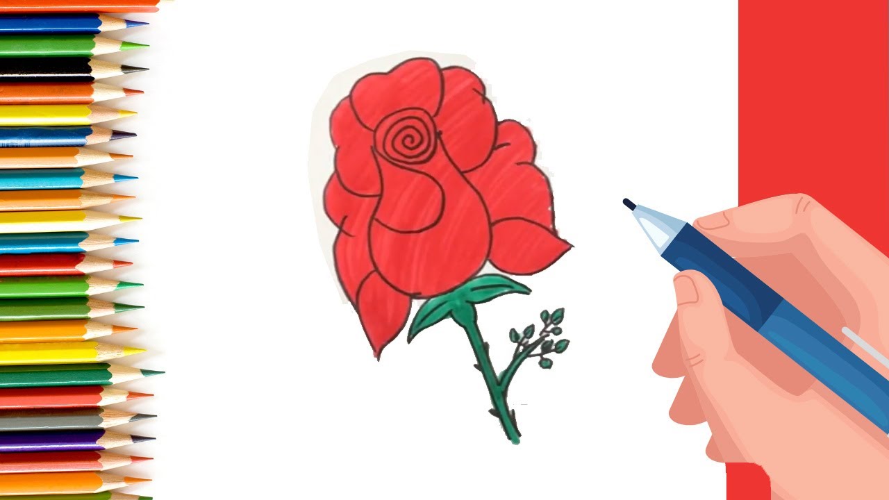 How to Draw easy Rose step by step for Kids   #shorts