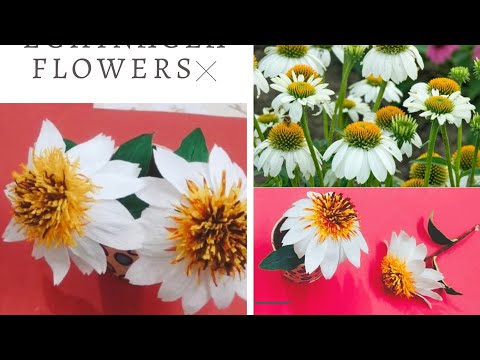 How To Make Crepe Papers Echinacea Flowers | Paper Flower Craft