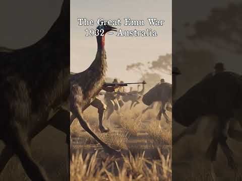 The Great Emu War 1932 – Australia  #history  #ai