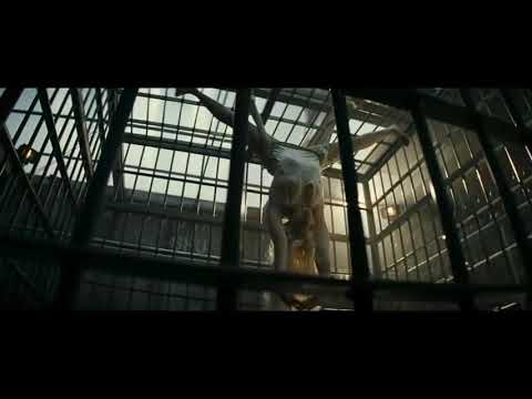 Damos lo que recibimos