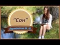 Лермонтов М. Ю. "Сон" 